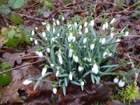 Sortie St Valentin 14 02 2016 (19)